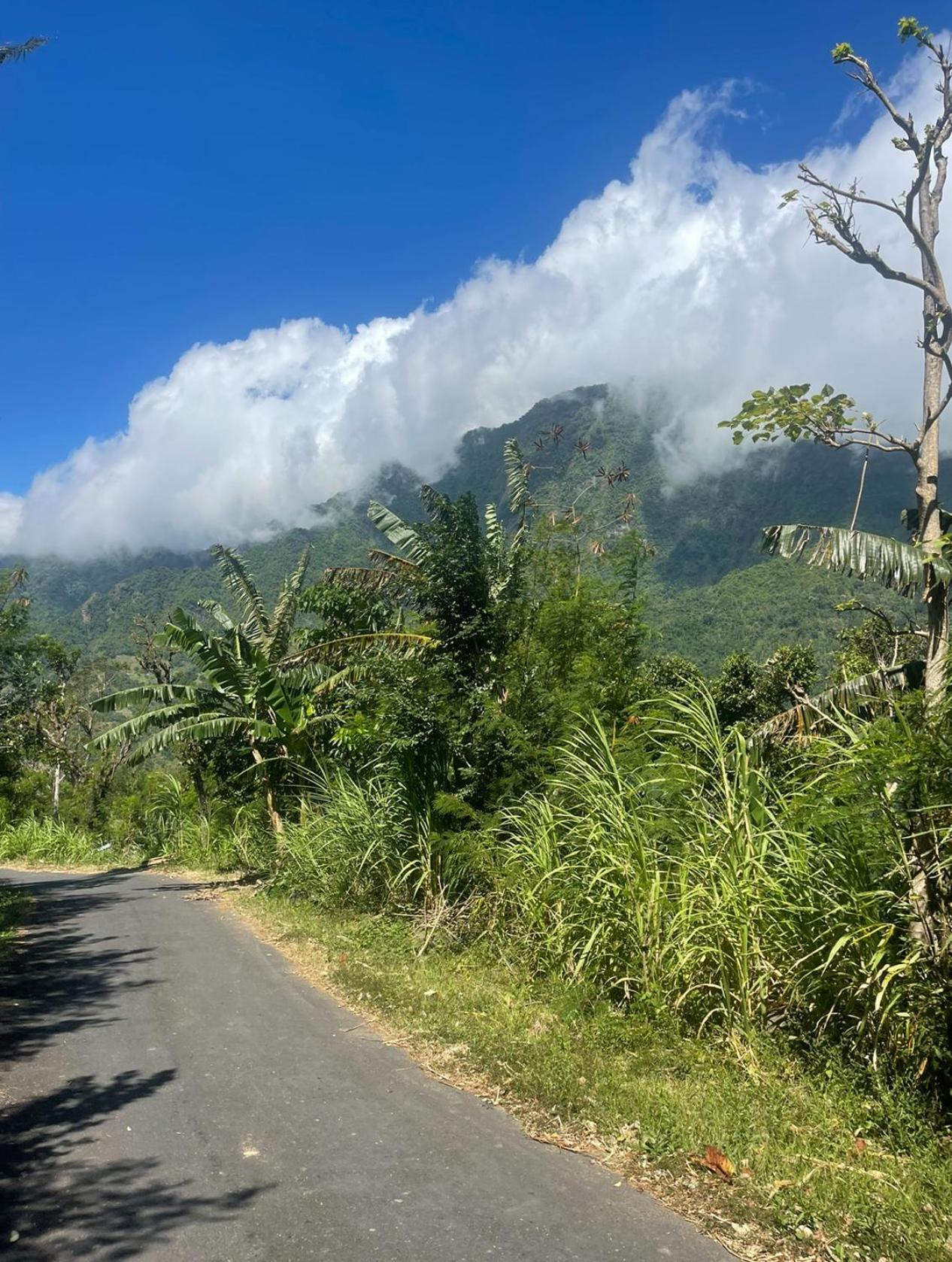Tropical Habitat Bali Villa Amed Eksteriør billede