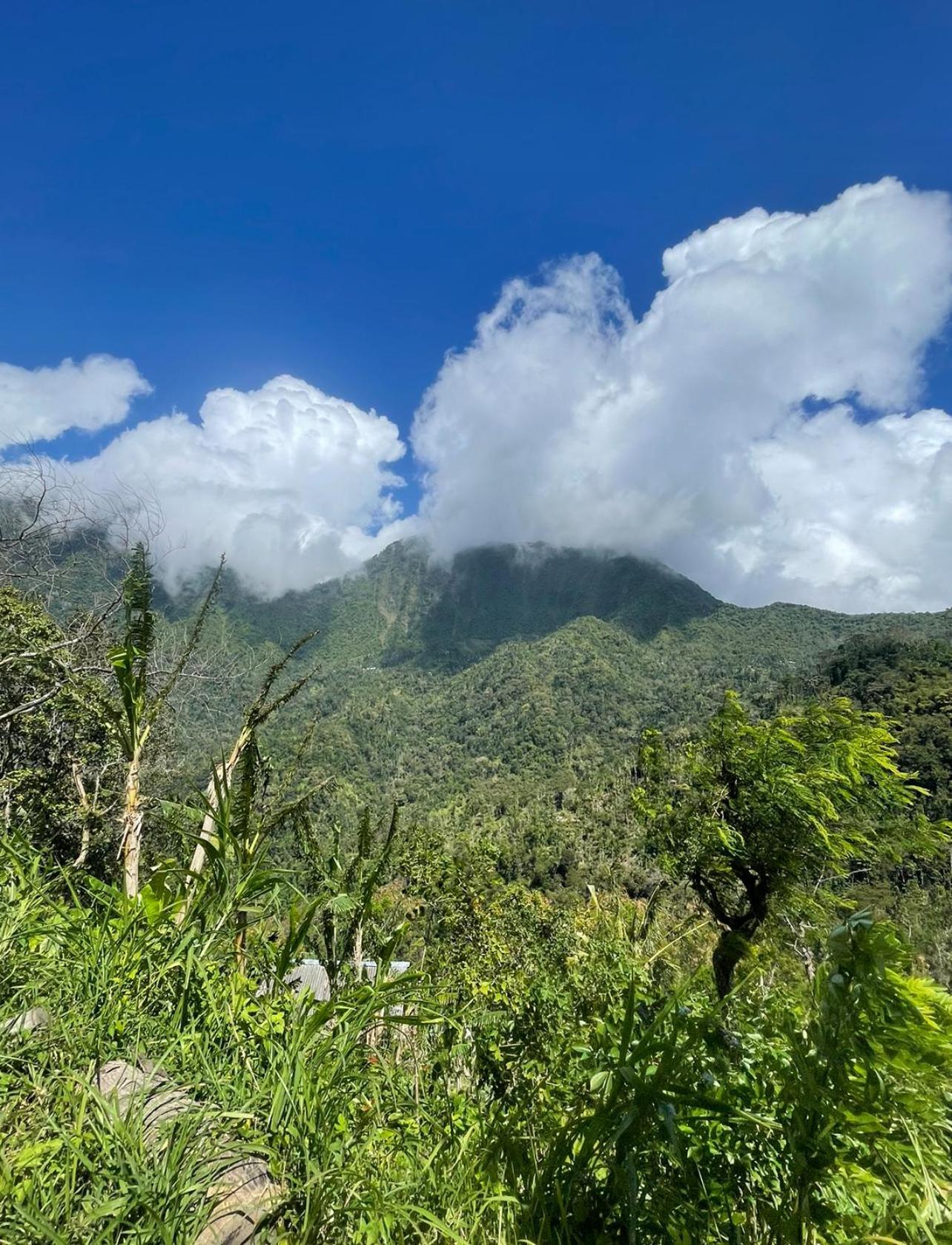 Tropical Habitat Bali Villa Amed Eksteriør billede