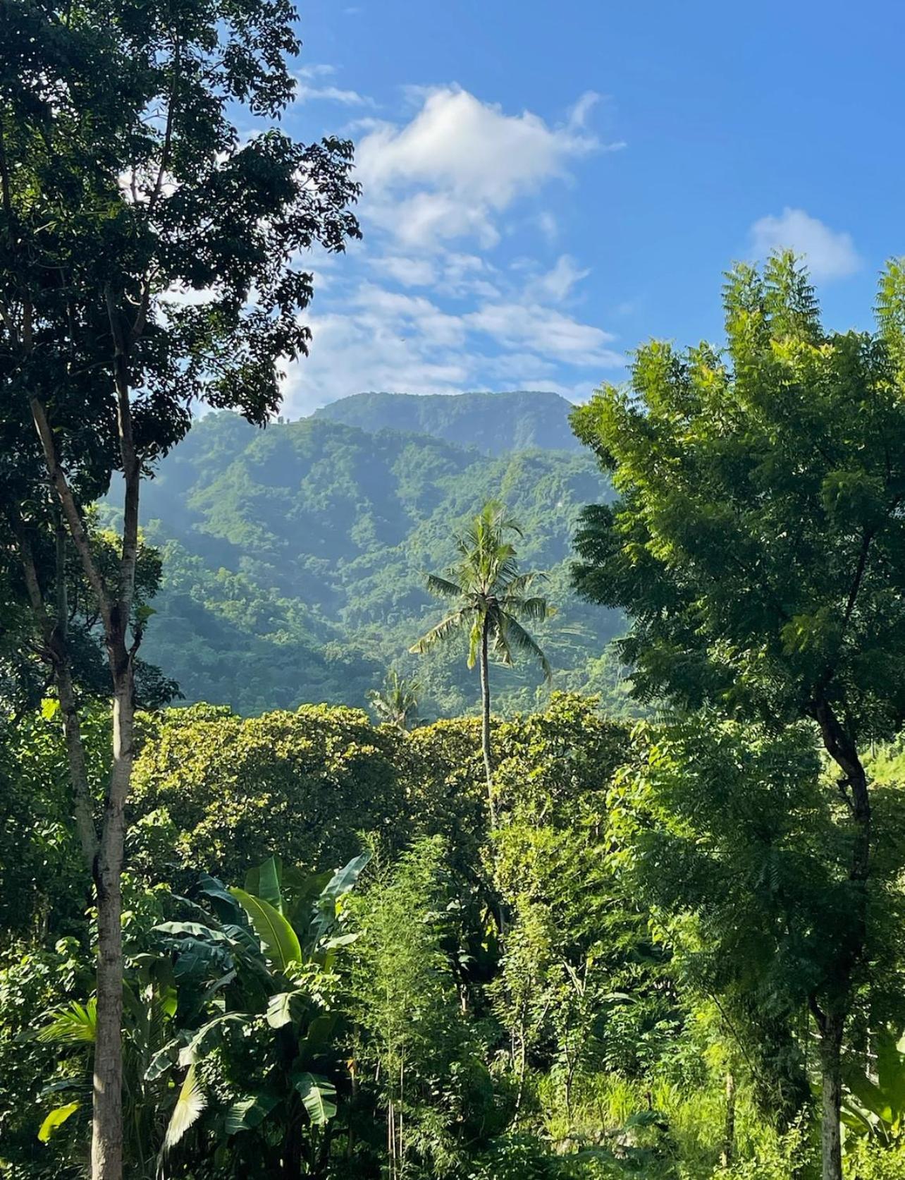 Tropical Habitat Bali Villa Amed Eksteriør billede