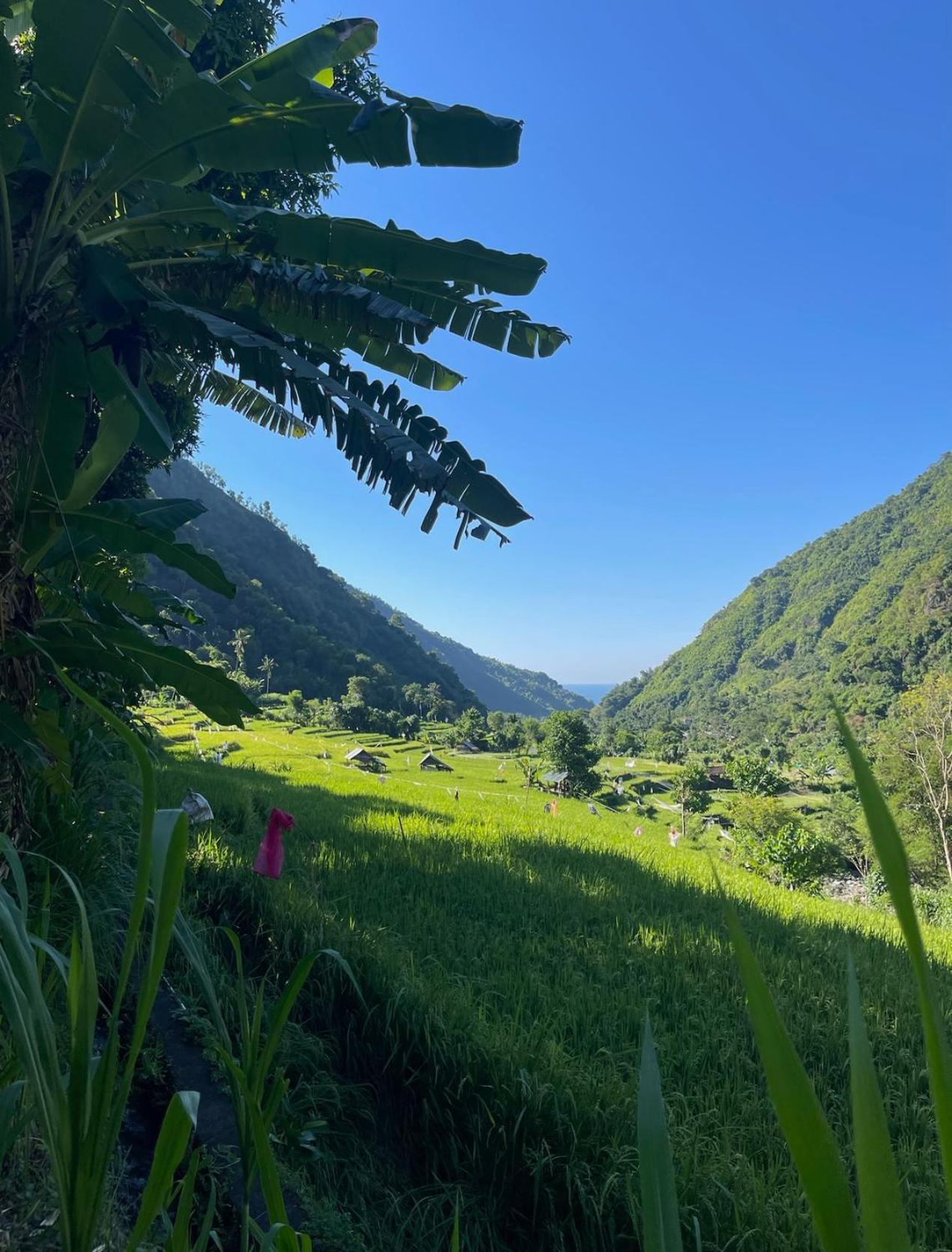 Tropical Habitat Bali Villa Amed Eksteriør billede