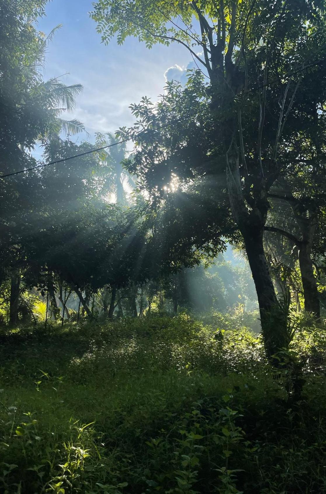 Tropical Habitat Bali Villa Amed Eksteriør billede