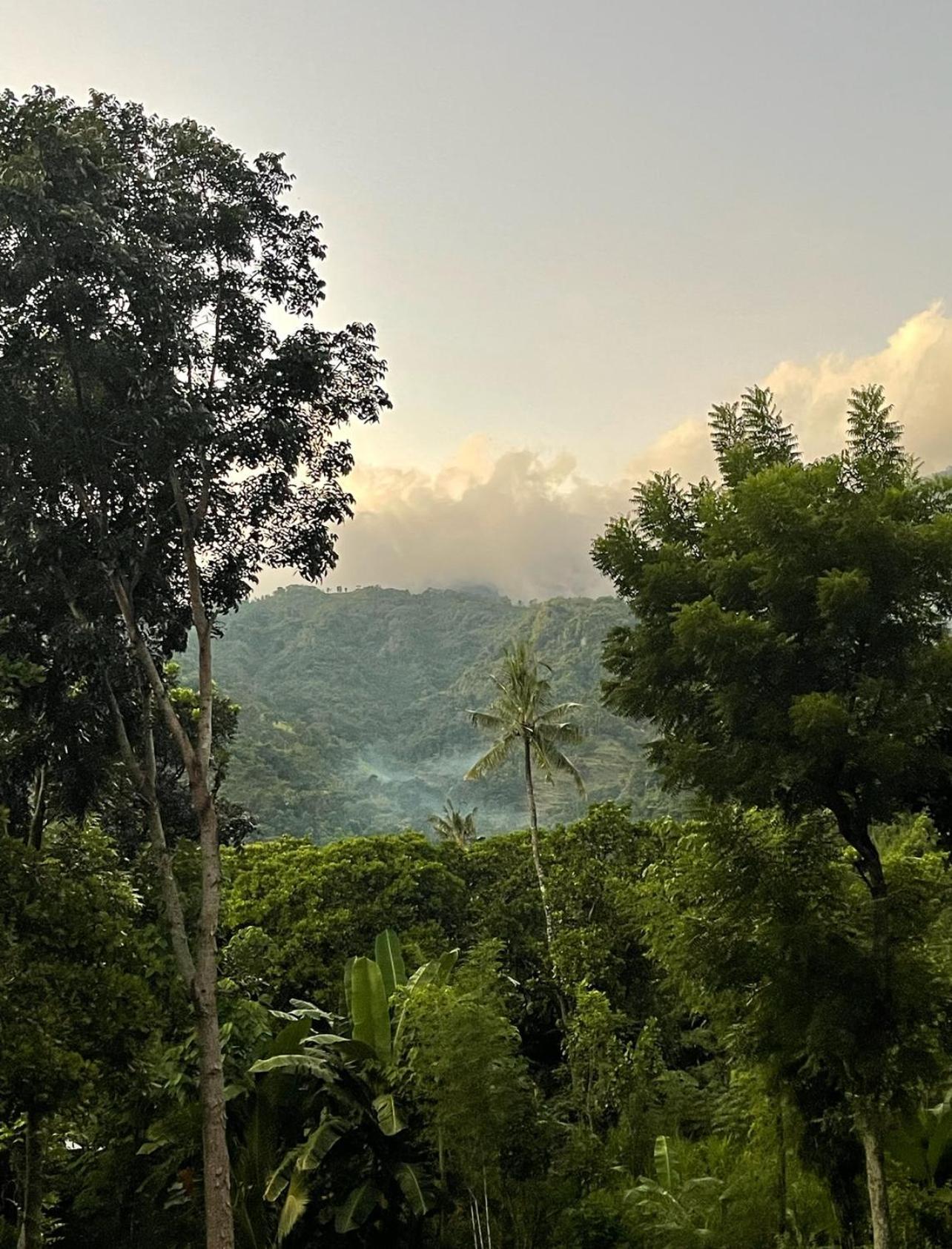 Tropical Habitat Bali Villa Amed Eksteriør billede
