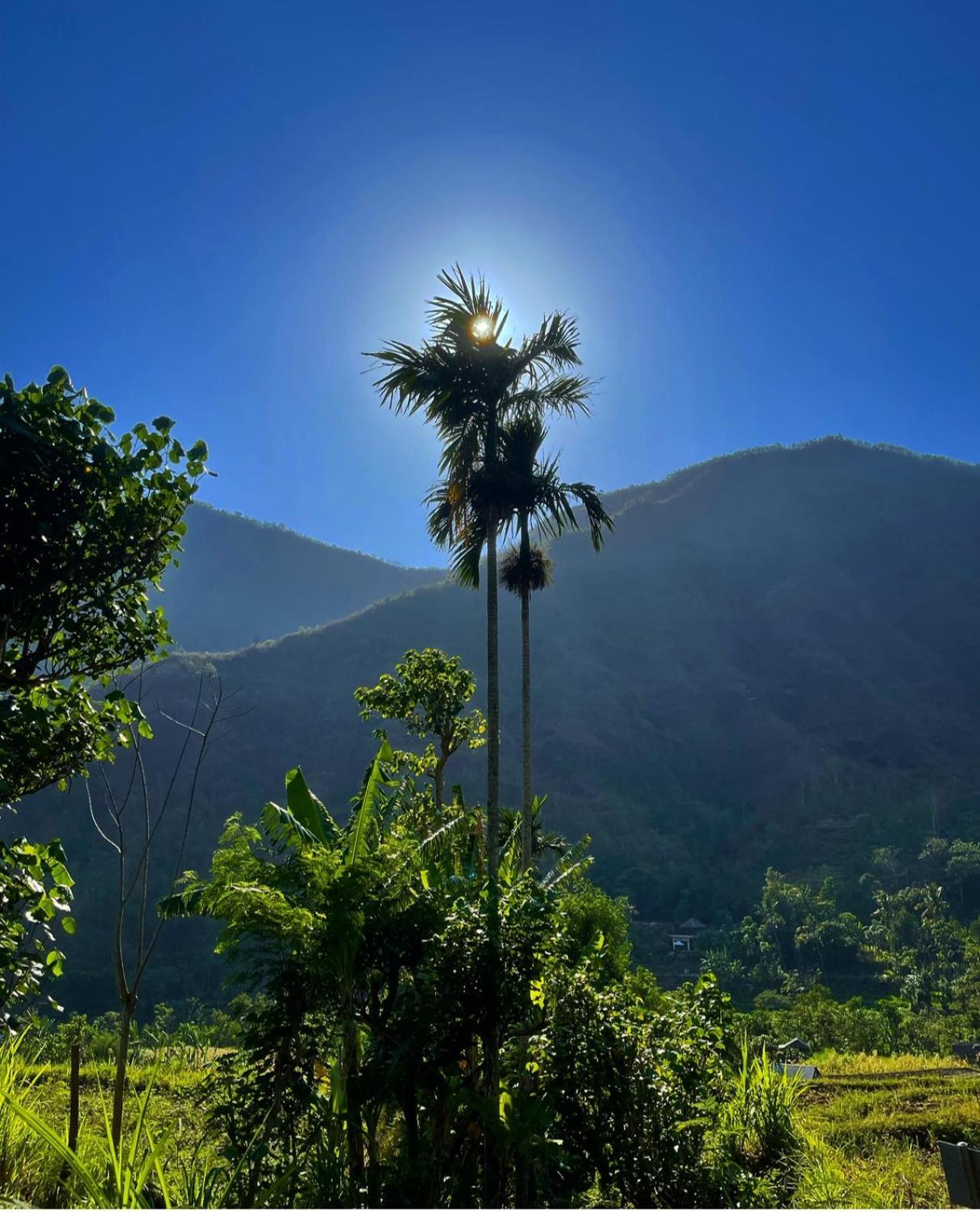 Tropical Habitat Bali Villa Amed Eksteriør billede