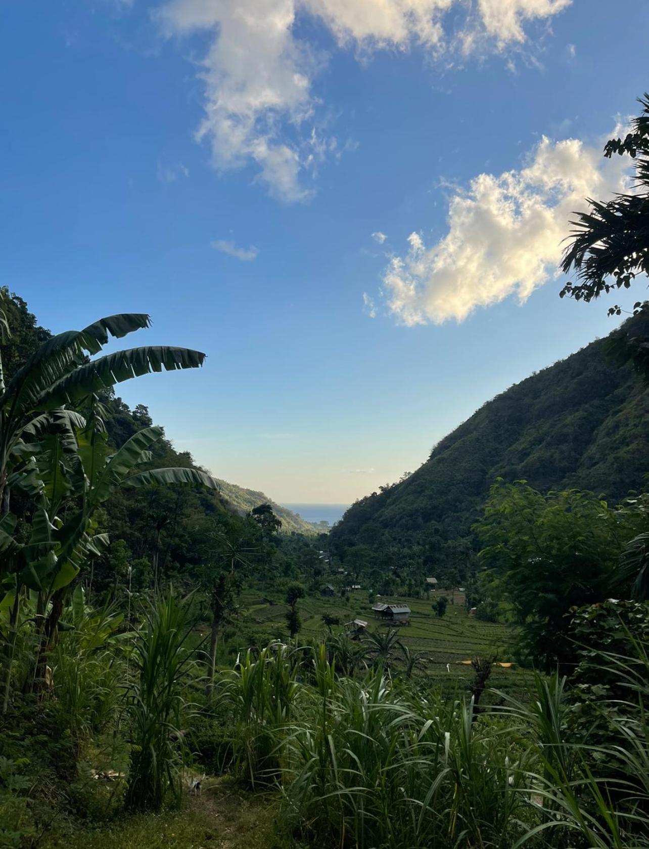 Tropical Habitat Bali Villa Amed Eksteriør billede