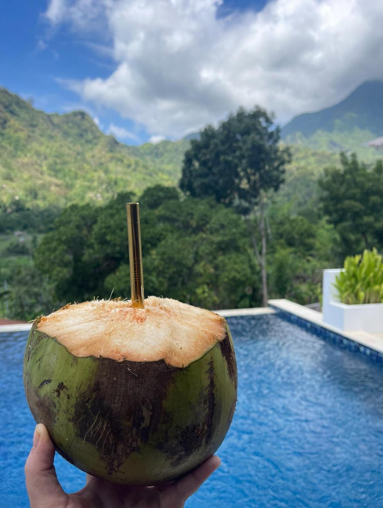 Tropical Habitat Bali Villa Amed Eksteriør billede