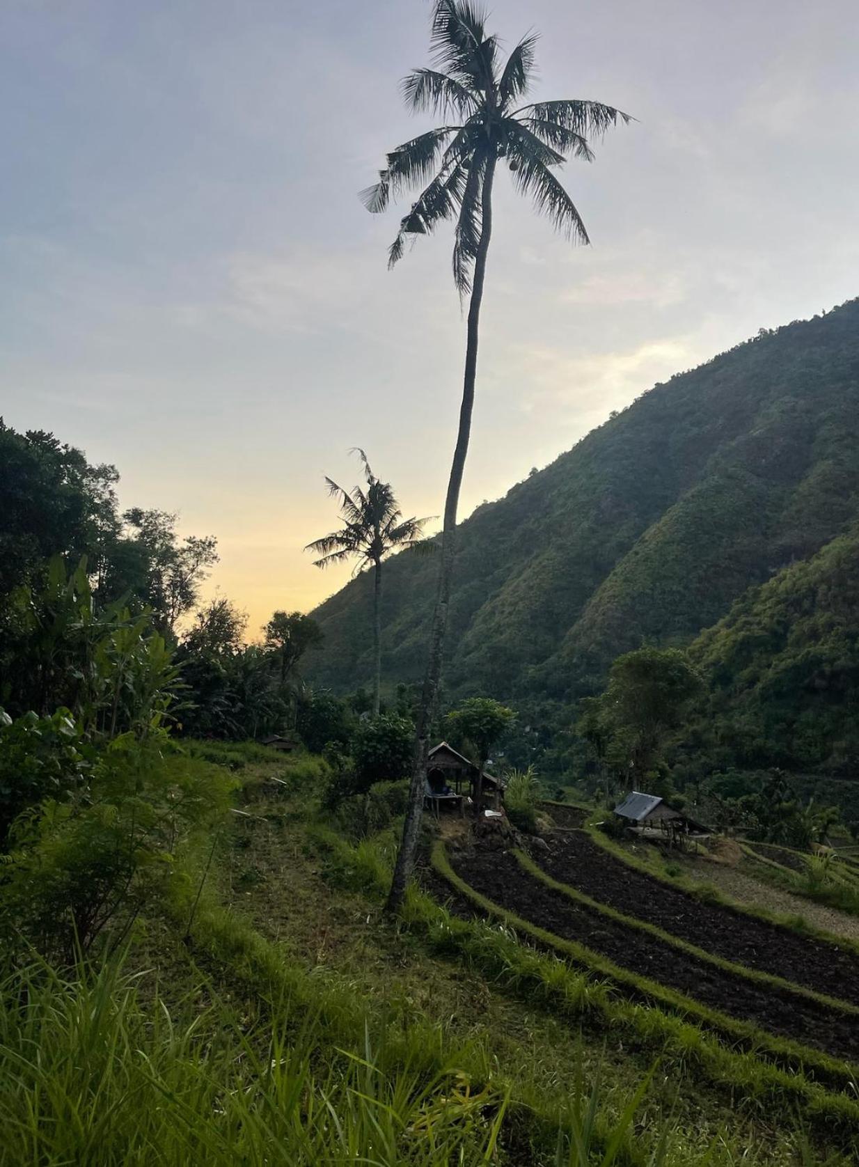 Tropical Habitat Bali Villa Amed Eksteriør billede